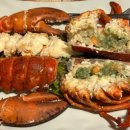 엑스포긴자 이미지