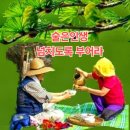 2024.7.18 용두산,정수사,미타선원,자갈치시장,영도대교,태종대,해운대춘천황톳길 이미지