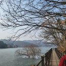 서운산 자연휴양림 자동차야영장 | 277th.안성 서운산자연휴양림 - 1년만의 캠핑 / 20260214