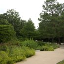 광릉수목원 이미지