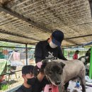 몽스케치 이미지