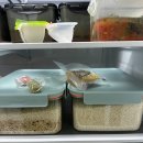 🍚 아이랑 같이 먹는 건강한 쌀, 청원생명농협 왕의밥상 유기농쌀 후기