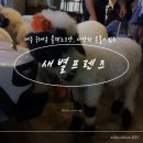 제주코기네 | [ 아기랑 제주여행 ] - 양떼, 알파카, 블랙노즈 그리고 다양한 체험이 있는 새별프렌즈