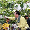 송철호농장 이미지