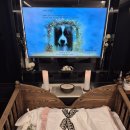 몽몽이엠파크 이미지