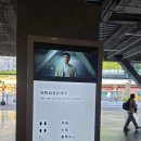 렘(REM) | 대만 여행 필수 코스, 타이베이 공연예술센터(TPAC) 방문기 폭염 속 최고의 피난처이자, 우연히 만난 K...