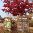 경상북도교육청 영주선비도서관 풍기분관 이미지