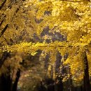 계룡종합카 이미지