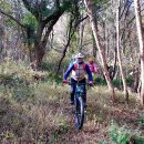 용강목장 이미지