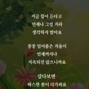 제주가좋다 이미지