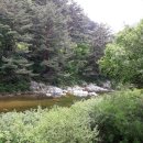 마가목민박 이미지