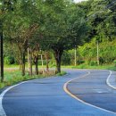 신전마을 이미지