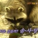 한상궁 왕족발 네이버블로그