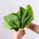 기명농장 이미지