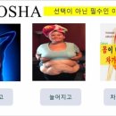 로샤벨라