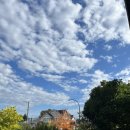 해든푸드마켓 | [해외여행]밴쿠버 4일차🍁_시내구경(다운타운,그랜빌아일랜드,킷실라노비치)