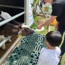 준이목장 이미지