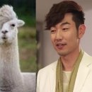 라마 이미지