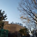 산책가까 | 해운대바다 산책 | 소소한주말일상| 바다뷰 감상 후 피자🍕 딸기🍓 먹은후기(소소한주말일상)