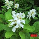 감나무한의원 이미지