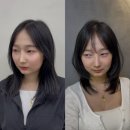 남우디자인 | 신사역 중단발 레이어드컷 그로잉살롱 남우쌤 후기