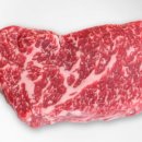 호박패밀리 이미지