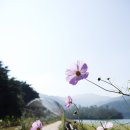 다산1리 이미지