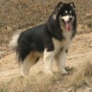 태산농장 이미지