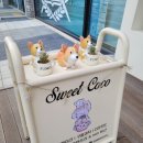 은쌤동물병원 이미지