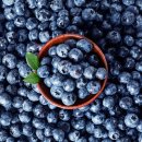 블루베리 이미지
