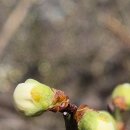 관동경로당 이미지