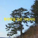 동로치안센터 네이버블로그