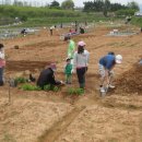 상기농장 이미지