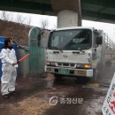 영동군 거점소독소