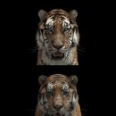 대호슈퍼 이미지