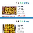 (제주옥림) 제주 노지 감귤 5Kg 10Kg (가정용) 제주 감귤체험 농장 제주옥림 이미지