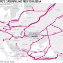 한들가스 이미지