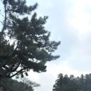 멍스플레이 이미지