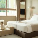 한화호텔앤드리조트/평창 이미지