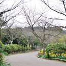 한라컴퓨터 이미지