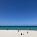 곽지올레 이미지