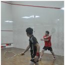 세화스쿼시 이미지