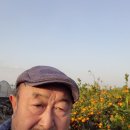 두목농장 이미지