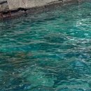 울릉다이버리조트 이미지