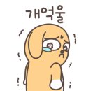 사백밀티