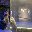 아쿠아플라넷 여수 이미지