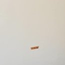 애견호텔 개인 이미지