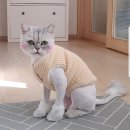 몽블리 펫샵 이미지