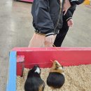 지우목장 이미지