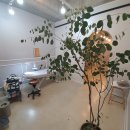 수정초공인중개사사무소 이미지